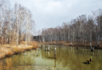 Fototapeta premium lake in spring