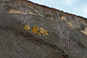 Trees without foliage growing on the rocky slope in the autumn