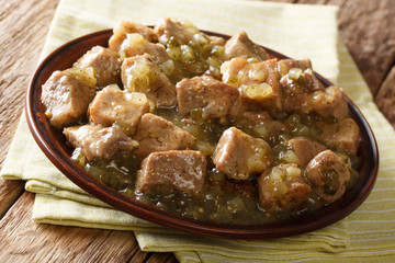 Authentic Mexican pork chile verde with chunks of pork shoulder slow cooked in a roasted tomatillo and jalapeno closeup on a plate. Horizontal