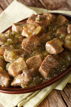 This Authentic Pork Chile Verde Recipe. Tender Pieces Of Pork Slow Cooked With A Green Chile Sauce (salsa Verde) Closeup. Vertical