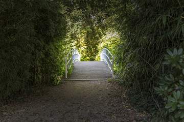 Brücke im Bambus Garten