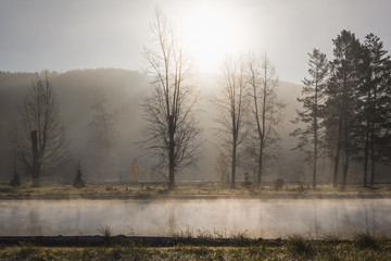 In the morning mist, steam rises from the pond from the water, poplars and pines grow near the pond, the sun rises from behind the mountain and shines with warm rays.