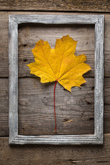  Autumn colorful leaves on wooden texture in frame