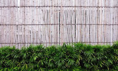 Close up of wall made of vintage bamboo fence