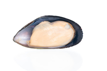 Fototapeta na wymiar Raw mussels on white background