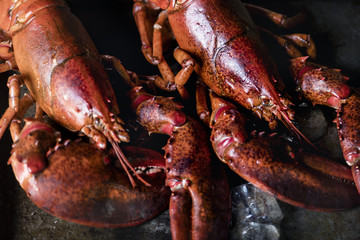 Cooked lobster food photography recipe idea