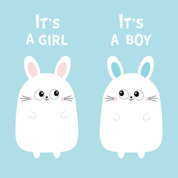 Its a girl boy. Two cute twin bunny rabbit set. Hare head couple family icon. Cute cartoon funny smiling character set. Blue background. Isolated. Flat design