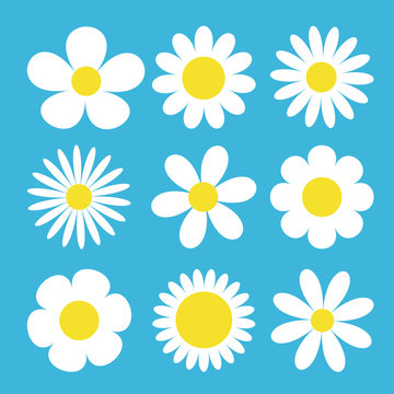 Camomile set. White daisy chamomile icon. Cute round flower plant collection. Love card symbol. Growing concept. Flat design. Blue background. Isolated.