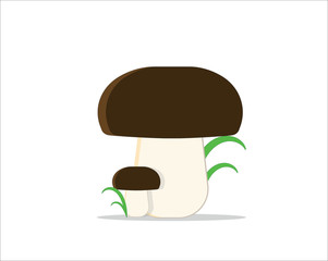 two ceps isolated on a white backgraud.