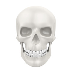 Human Skull Isolated