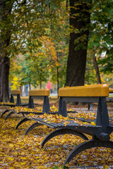 Fototapeta na wymiar Park benches in the fall