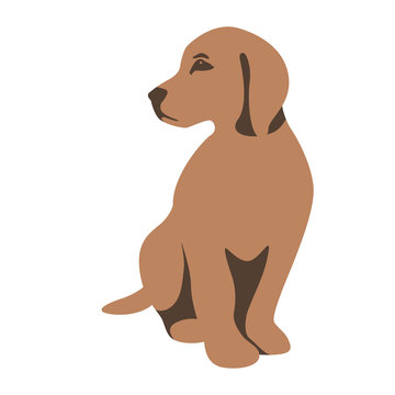 dog puppy vector illustration flat style