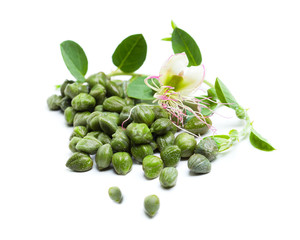 Organic capers with green leaves and flower on white background