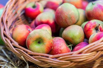 close up of red ripe apples in a basket at the farmer's market