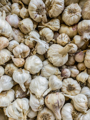 garlic on the market
