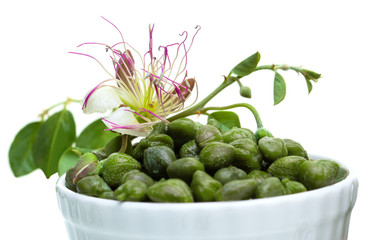 Capers in white bowl isolated on white. Caper with green leaves and flower on white background