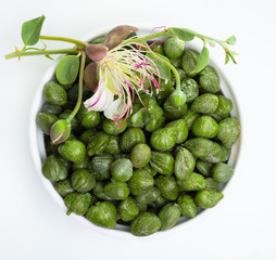 Capers in bowl on white, top view. Caper with green leaves and flower on white background