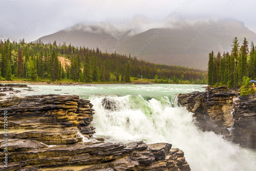 Canvas Prints Cascades on the Sunwapta river in Jasper National Park - Canadian Rocky Mountains