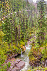 Fototapeta na wymiar View at the nature of Maligne canyon in Jasper National Park in Canadian Rocky Mountains