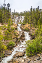 Obraz premium View at the Tangle creek falls near Icefields Parkway road in Jasper National Park - Canadian Rocky Mountains