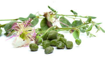 Capers with green leaves and flower on white background