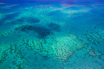 great barrier reef