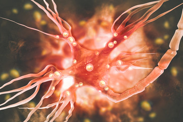 Neurons on scientific background