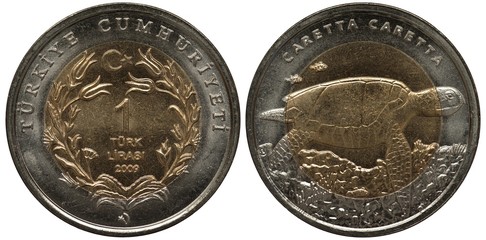 Turkey Turkish bimetallic coin 1 one lira 2009, value and date flanked by flowers, sea tortoise swimming, 