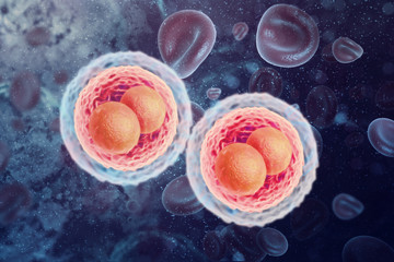 Cells with nucleus on scientific background