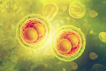 Cells with nucleus on scientific background