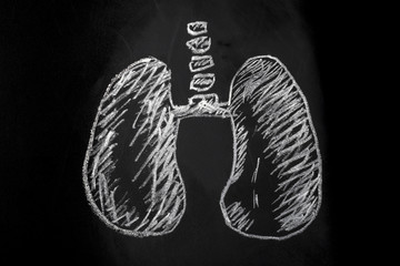 human lungs drawn in chalk on a blackboard, background image