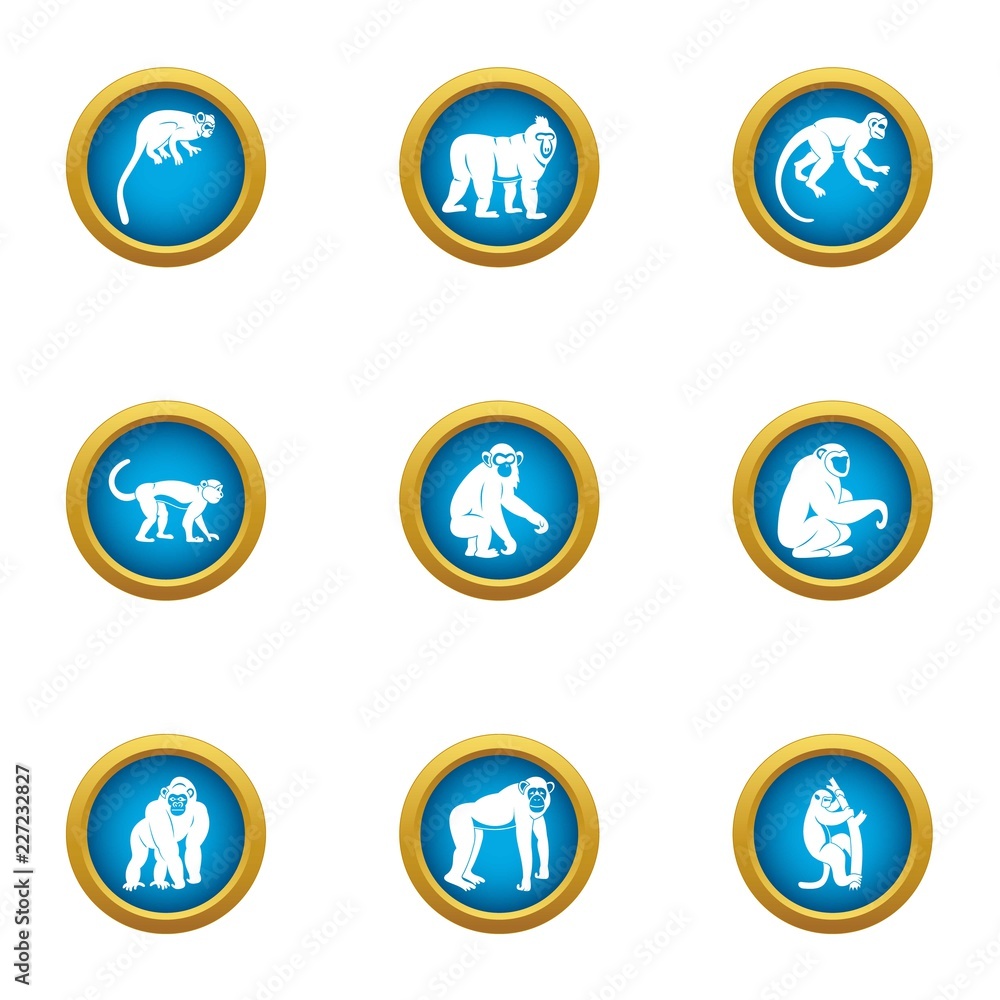 Poster tamarin icons set. flat set of 9 tamarin vector icons for web isolated on white background