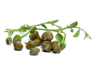 Pickled capers with green leaves and caper flower on white background