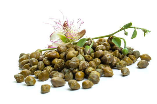 Pickled capers with caper plant on white background