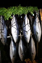 Obraz premium fresh fish in the market