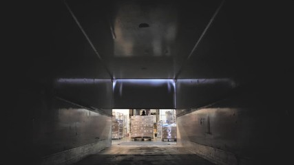 Forklift load boxes from dock into a truck. Logistics and cargo transportation.