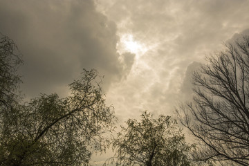 Varese lake nature Italy