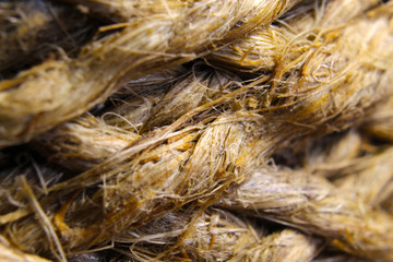 Sheshkin fibers macro