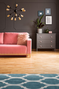 Patterned carpet on wooden floor and plant in grey flat interior with pink sofa under lamp. Real photo