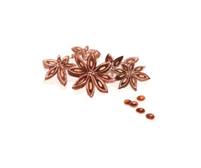 Watercolour hand painted anise stars design element. Use as a decorative element for cover, card, web design and menu decoration.