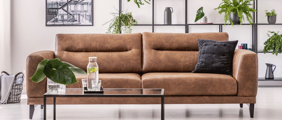 Panorama of brown leather sofa in white living room interior with plants and poster. Real photo
