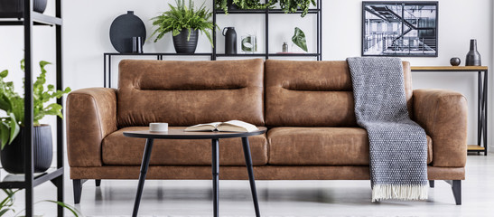 Table in front of leather couch with blanket in white flat interior with poster and plants. Real...