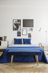Photo gallery on a white wall above a navy blue bed with elegant cushions in a stylish bedroom...