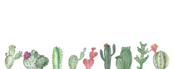 Watercolor banner of multi-colored cacti