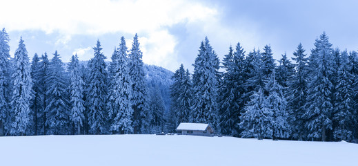 Verschneiter Tannenwald mit Hütte