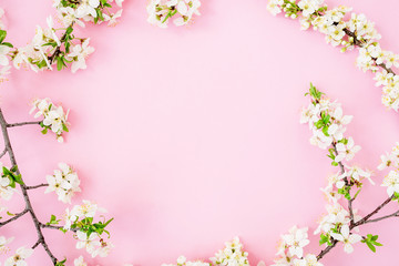 Fototapeta na wymiar Floral frame with spring white flowers isolated on pink background. Flat lay, top view. Spring time background.