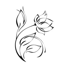 stylized rose flower with leaves in black lines on a white background