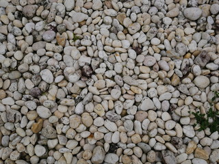 pebbles on the beach,stone background