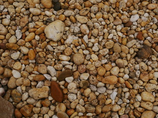 stone in the garden