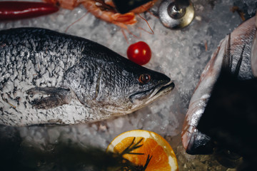 A gilt-head Sparus aurata on ice at the seafood booth.